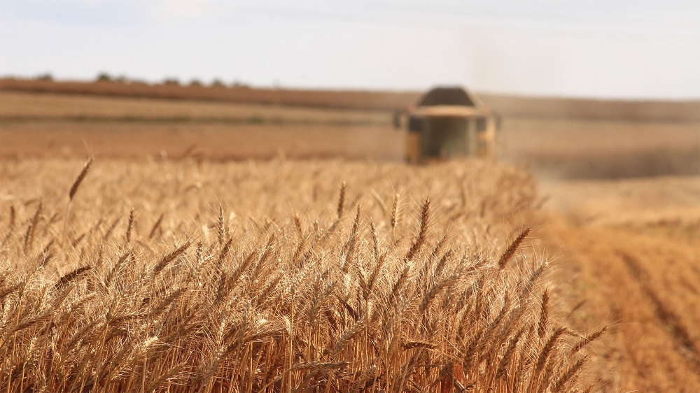 AgriTech – Avances tecnológicos en la agricultura